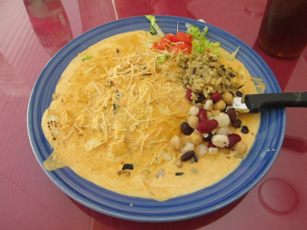 Creamy chipotle chicken enchiladas